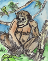 Adam Meyers Chimpanzee Drawstring Bag